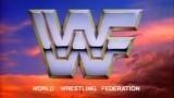 WWF WrestleFest 1988