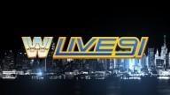 Wwe live 1991