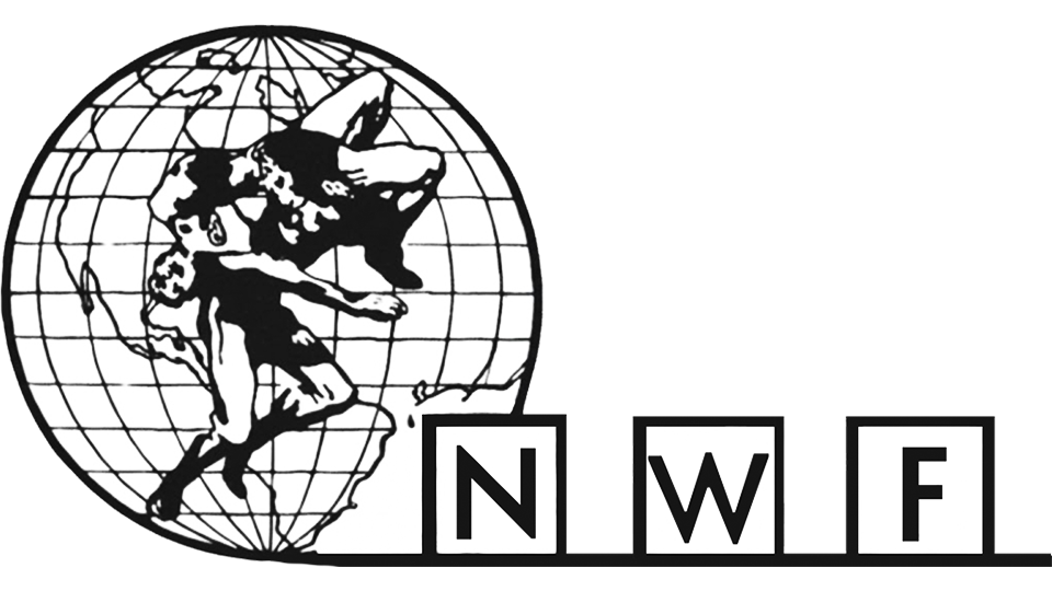 National Wrestling Federation - Pro Wrestling Promotions