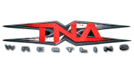 TNA 3rd Logo