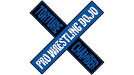 Torture Chamber Pro Wrestling