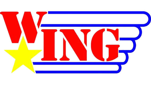 Wrestling International New Generations - Pro Wrestling Promotions