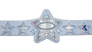 Wonder Of Stardom Championship