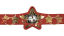 World Of Stardom Championship