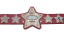 World Of Stardom Championship