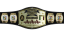 AAA Northern Tag Team Championship