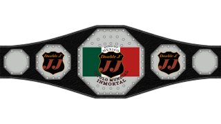 AAA Mexican Heavyweight Championship