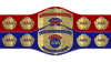 AAA World Mixed Tag Team Championship