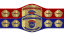 AAA World Mixed Tag Team Championship