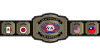 IWAS Heavyweight Championship