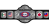 IWAS Light Heavyweight Championship