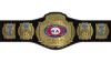 IWAS Tag Team Championship
