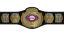 IWAS Tag Team Championship