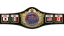  IWC World Heavyweight Championship