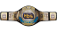 AEW TBS Championship