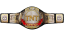 AEW TNT Championship