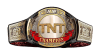 AEW TNT Championship