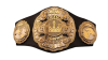 AEW Unified Championship AEW Unified Championship