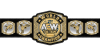 AEW World Tag Team Championship