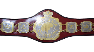 AJPW All Asia Heavyweight Championship