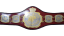 All Asia Heavyweight Championship