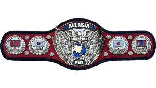All Asia Heavyweight Championship