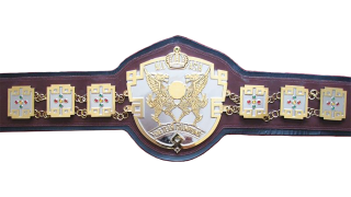 AJPW All Asia Tag Team Championship