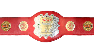 AJPW Gaora TV Championship