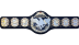NWA International Tag Team Championship