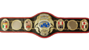 PWF Heavyweight Championship PWF Heavyweight Championship