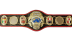 PWF Heavyweight Championship