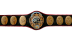 PWF World Tag Team Championship