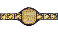 NWA United National Championship