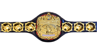 NWA United National Championship
