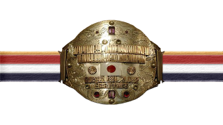 Japanese Tag Team Championship