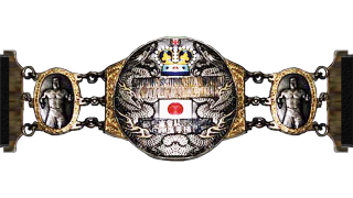 J-1 Heavyweight Championship