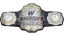 Wrestle-1 Championship
