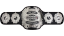 Wrestle-1 Tag Team Championship