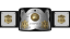 CWA/AWA International Tag Team Championship