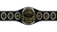 MW Southern Heavyweight Championship