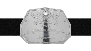 NWA Mid-Southern Tag Team Championship NWA Mid-Southern Tag Team Championship