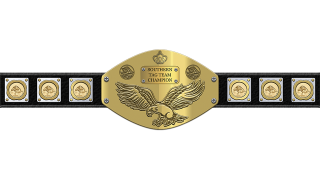 AWA Southern Tag Team Championship
