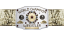 AWA World Heavyweight Championship