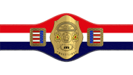 AWA World Light Heavyweight Championship AWA World Light Heavyweight Championship