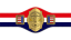 AWA World Light Heavyweight Championship