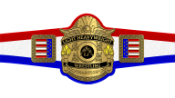 AWA World Light Heavyweight Championship AWA World Light Heavyweight Championship