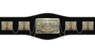 Mexican National Light Heavyweight Championship