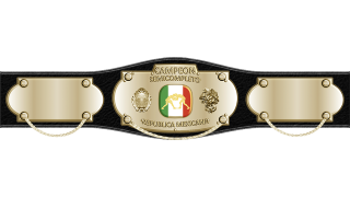 Mexican National Light Heavyweight Championship