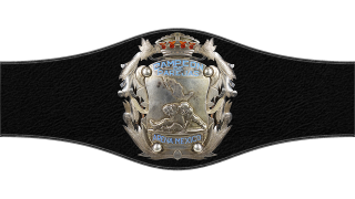  CMLL Arena Mexico Tag Team Championship