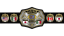 CMLL Japan Tag Team Championship